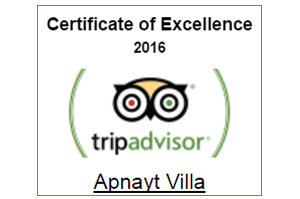 Tripadvisor Certificate